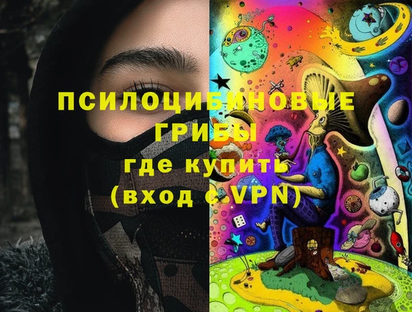 МДПВ Алексеевка
