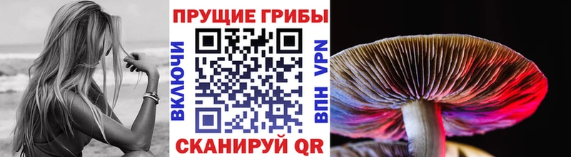 Галлюциногенные грибы мицелий  Красноуфимск 